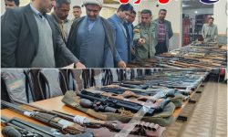 منطقه حفاظت شده پارک ملی کرخه زیر ذره بین رئیس دادگستری شهرستان کرخه