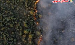 ۳۰۵ هکتار از جنگل های پارک ملی کرخه در آتش سوخت