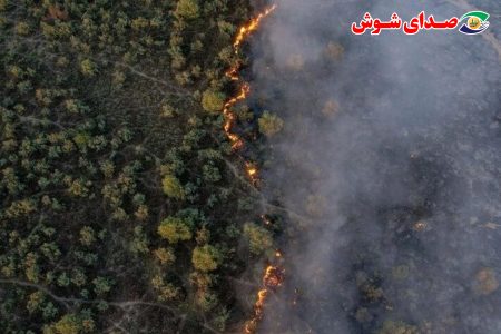 ۳۰۵ هکتار از جنگل های پارک ملی کرخه در آتش سوخت