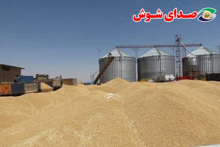 آمادگی ۶ مرکز خرید تضمینی در قطب تولید گندم کشور