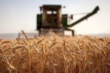 گلایه کشاورزان خوزستانی از بلاتکلیفی مطالبات