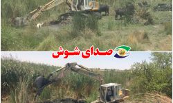 نجات رودخانه شاوور از چنگ زمین‌خواران؛ سه چشمه آب شیرین احیا شد