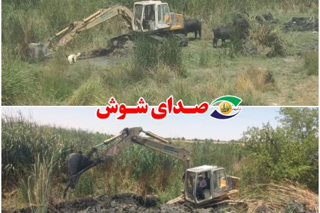 نجات رودخانه شاوور از چنگ زمین‌خواران؛ سه چشمه آب شیرین احیا شد