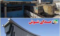 بی‌آبی در شرکت نیشکر هفت‌تپه و بی‌برقی در شرکت پاک‌چوب؛ چالش‌هایی که تولید را تهدید می‌کند