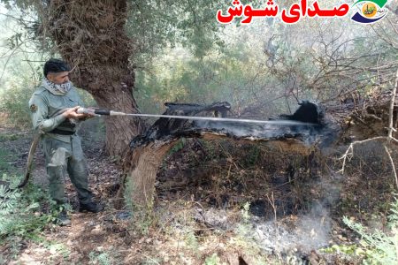 کاهش ۸۰ درصدی آتش‌سوزی‌ها در پارک ملی کرخه/ عاملان به مراجع قضایی معرفی شدند