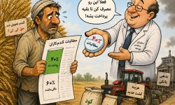 قول مساعد یا راهکار موقت؟ کشاورزان در انتظار باقی‌مانده مطالبات