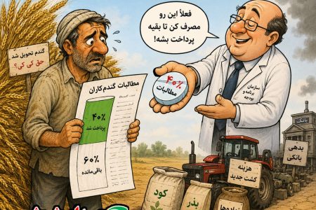 قول مساعد یا راهکار موقت؟ کشاورزان در انتظار باقی‌مانده مطالبات