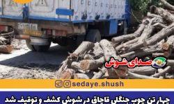 چهار تن چوب جنگلی قاچاق در شوش کشف و توقیف شد