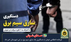 دستگیری سارق سیم برق با اعتراف به ۶ فقره سرقت در شوش