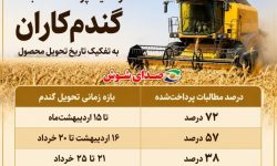 ۶۰ درصد مطالبات گندم‌کاران خوزستان پرداخت شد ➕ جدول