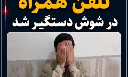 سارق به عنف تلفن همراه در شوش دستگیر شد