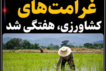 پرداخت غرامت‌های کشاورزی، هفتگی شد