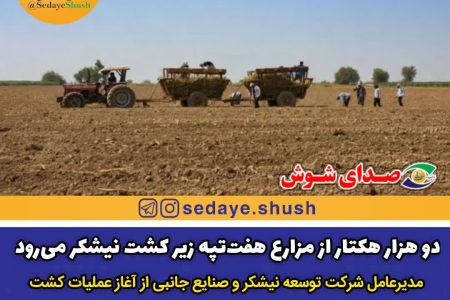دو هزار هکتار از مزارع هفت‌تپه زیر کشت نیشکر می‌رود
