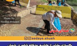 پاکسازی بخشی از حاشیه رودخانه شاوور در شوش + تصاویر