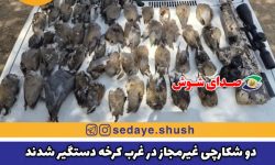 دو شکارچی غیرمجاز در غرب کرخه دستگیر شدند