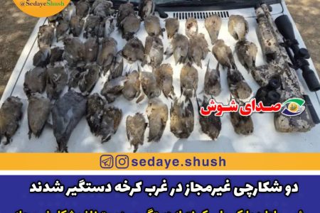 دو شکارچی غیرمجاز در غرب کرخه دستگیر شدند